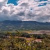 🌊 Río Mayo: El corazón que da vida al Alto Mayo